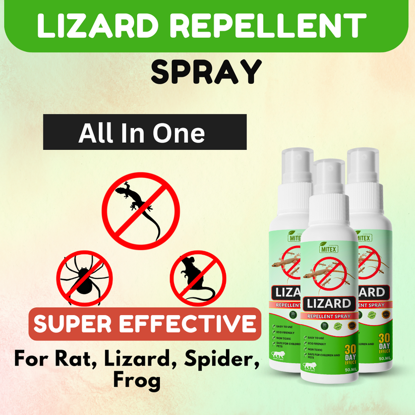 LIZARDGAURD™ - LIZARD REPELLENT SPRAY (BUY 1 GET 2 FREE) (PACK OF 3)