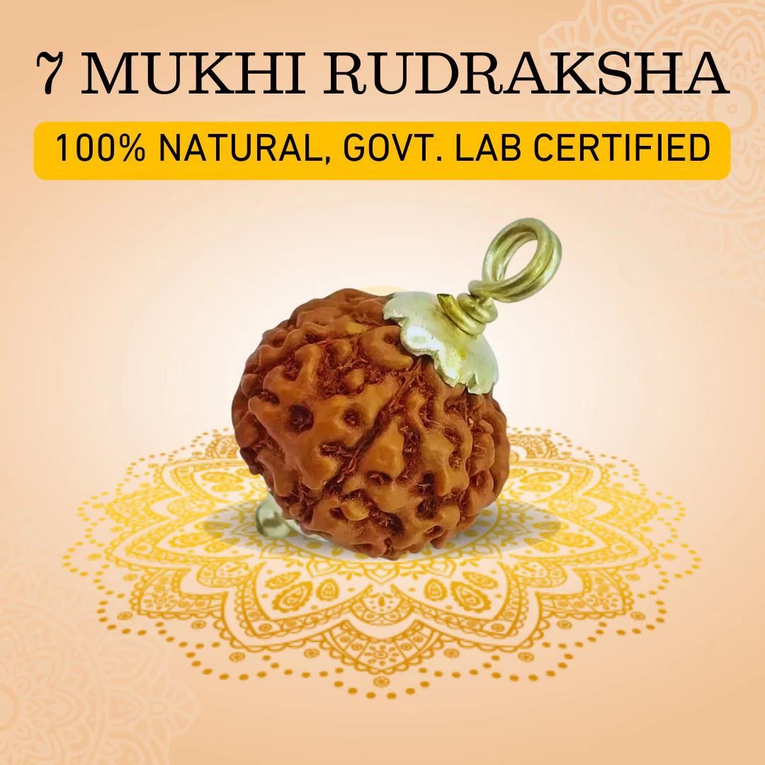 7 MUKHI NEPALI RUDRAKSHA WITH SILVER CAP